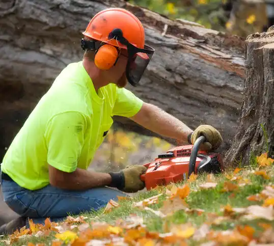 tree services Mingo Junction